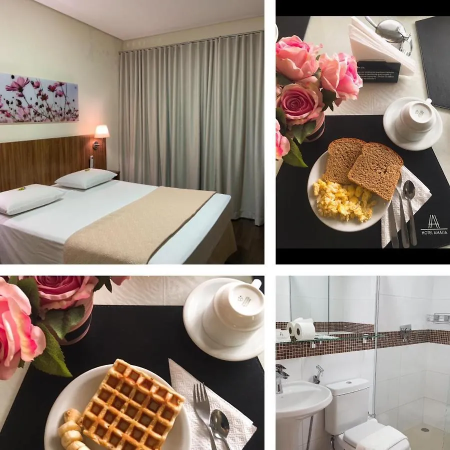 סאו פאולו Hotel Amalia סאו פאולו